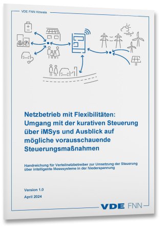 Netzbetrieb mit Flexibilitäten